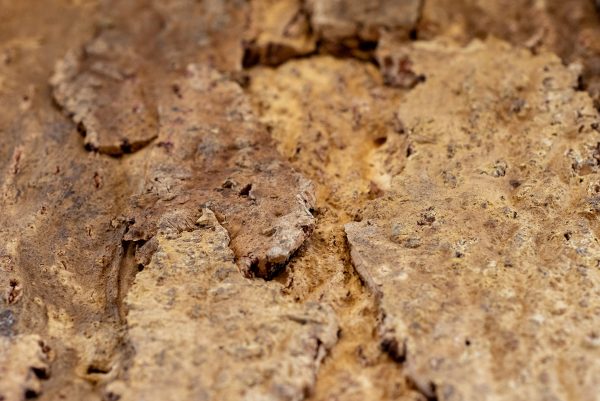 Floer Akukurk wandpaneel Zandsteen Natuur