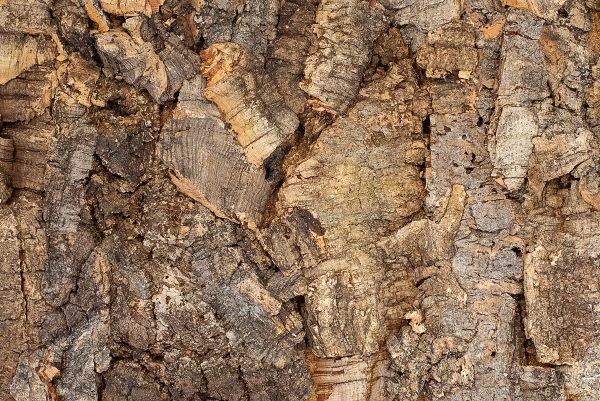 Floer Akukurk wandpaneel boomschors onbewerkt